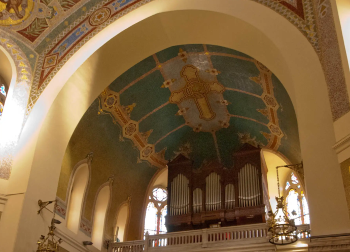 sanmanuelinteriororgano sanmanuelinteriororgano